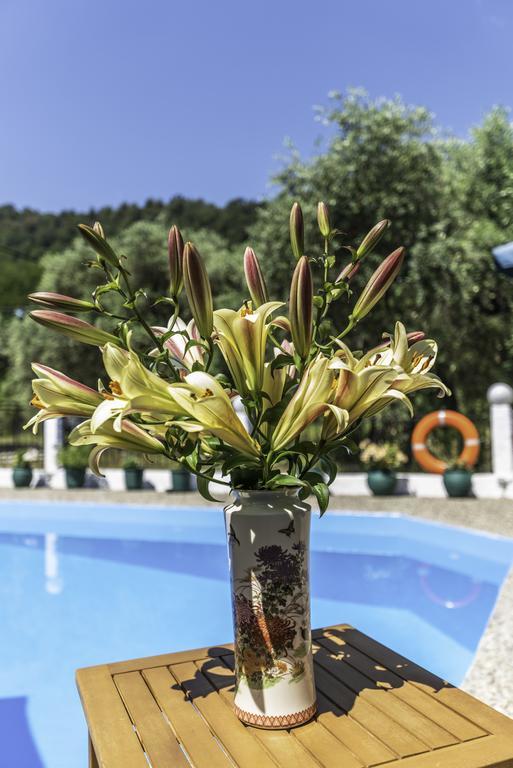 Hotel Sylvia Κοίνυρα Εξωτερικό φωτογραφία